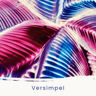 Donderdag 6 november 10:00-12:00