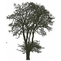 Encaustic Art stempel - boom (es)